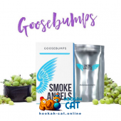 Табак Smoke Angels Goosebumps (Крыжовник) 25г Акцизный
